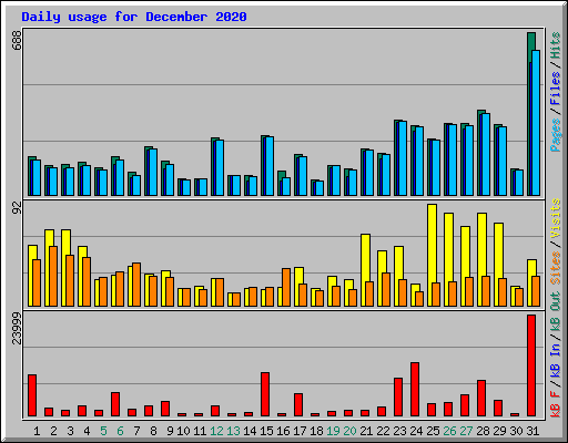 Daily usage for December 2020