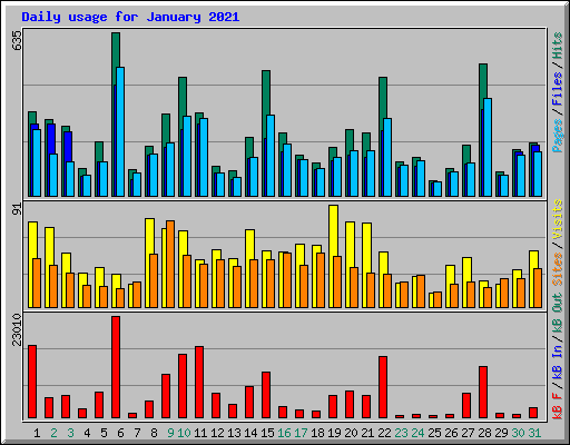 Daily usage for January 2021