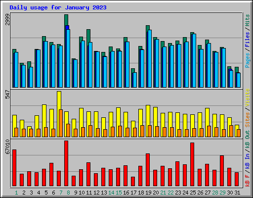 Daily usage for January 2023