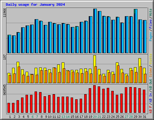 Daily usage for January 2024