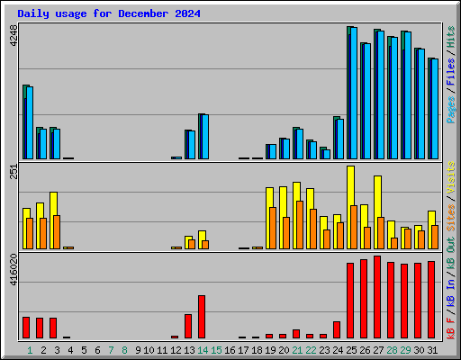 Daily usage for December 2024
