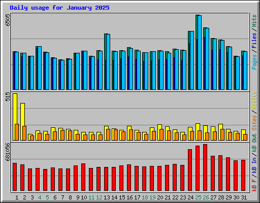 Daily usage for January 2025