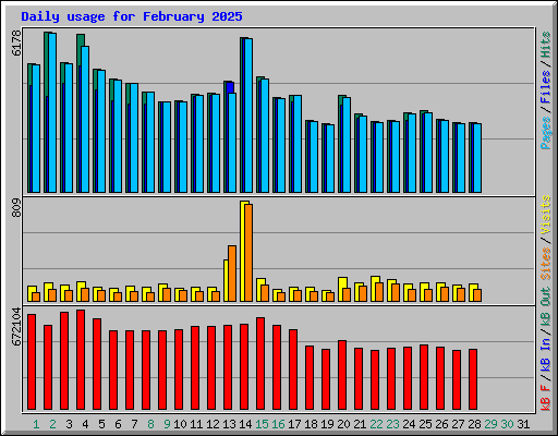 Daily usage for February 2025