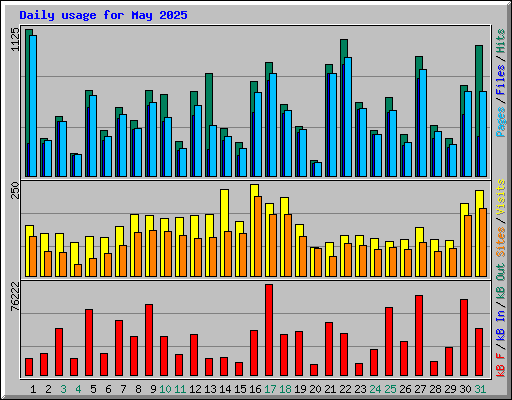 Daily usage for May 2025