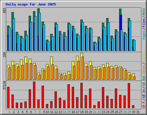 Daily usage for June 2025