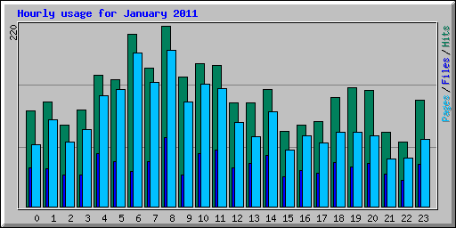 Hourly usage for January 2011