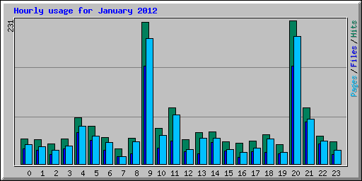 Hourly usage for January 2012