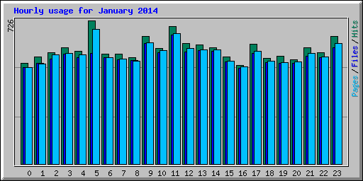 Hourly usage for January 2014