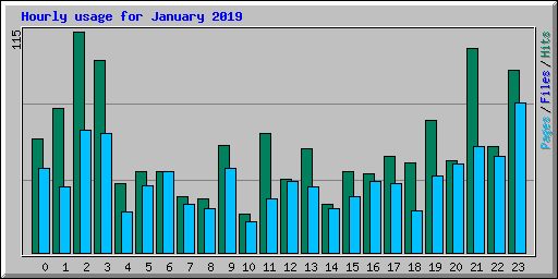 Hourly usage for January 2019