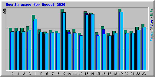 Hourly usage for August 2020