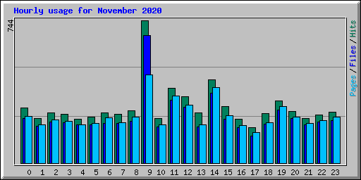 Hourly usage for November 2020
