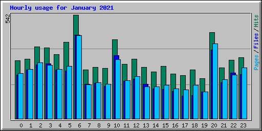 Hourly usage for January 2021