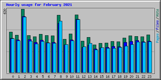 Hourly usage for February 2021
