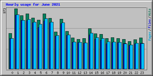 Hourly usage for June 2021