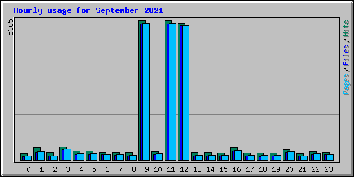 Hourly usage for September 2021