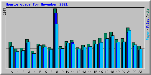 Hourly usage for November 2021