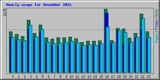 Hourly usage for December 2021