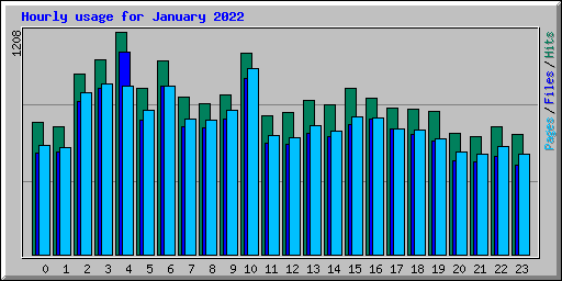 Hourly usage for January 2022