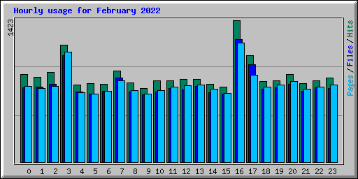 Hourly usage for February 2022