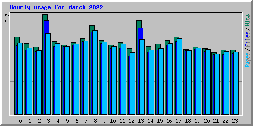 Hourly usage for March 2022