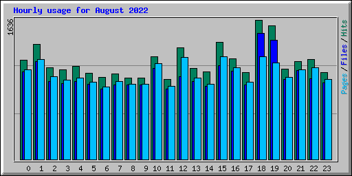 Hourly usage for August 2022