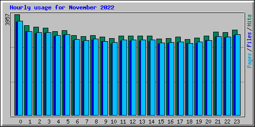 Hourly usage for November 2022