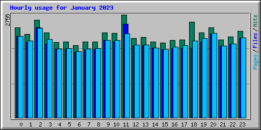 Hourly usage for January 2023