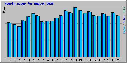 Hourly usage for August 2023