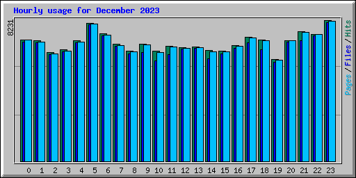 Hourly usage for December 2023