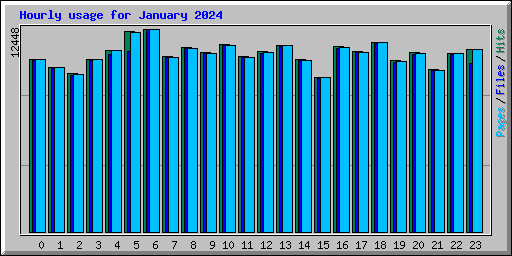 Hourly usage for January 2024