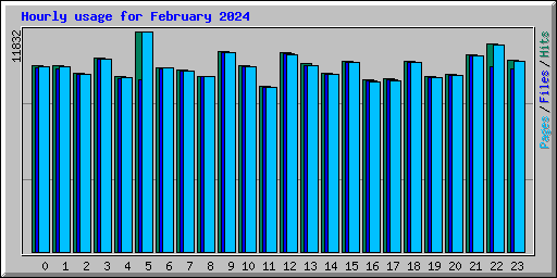 Hourly usage for February 2024