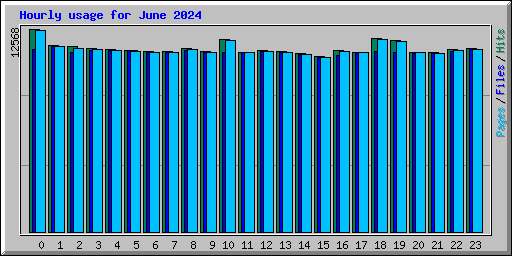 Hourly usage for June 2024
