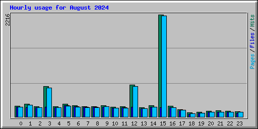 Hourly usage for August 2024