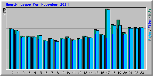 Hourly usage for November 2024