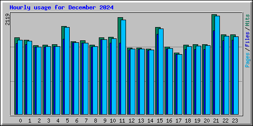 Hourly usage for December 2024