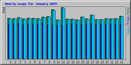 Hourly usage for January 2025