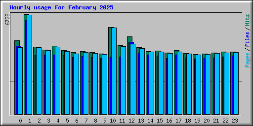 Hourly usage for February 2025