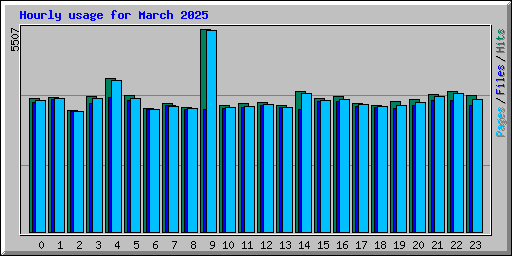 Hourly usage for March 2025