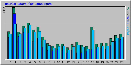 Hourly usage for June 2025